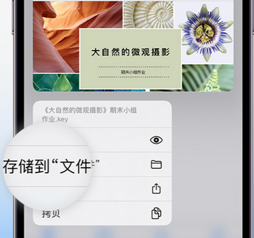 精河apple维修中心分享iPhone文件应用中存储和找到下载文件