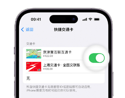 精河apple维修点分享iPhone上更换Apple Pay快捷交通卡手绘卡面 