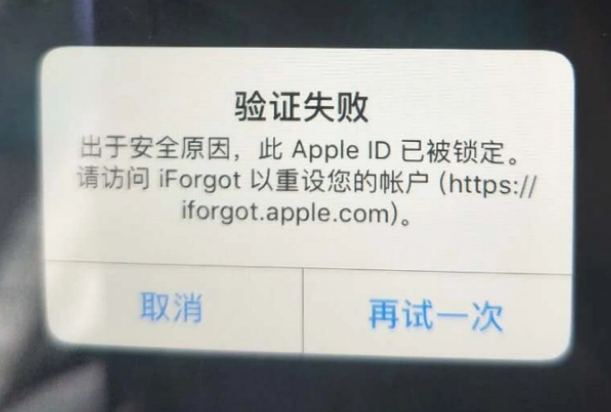 精河iPhone维修分享iPhone上正常登录或使用AppleID怎么办 