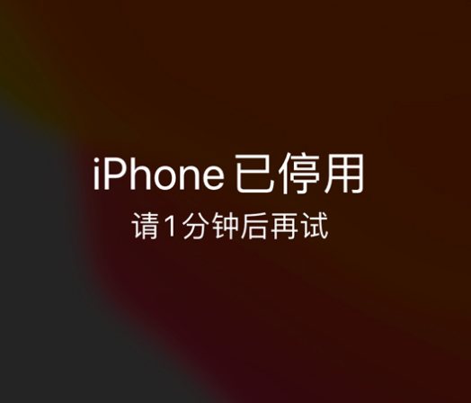 精河苹果手机维修分享:iPhone 显示“不可用”或“已停用”怎么办？还能保留数据吗？ 