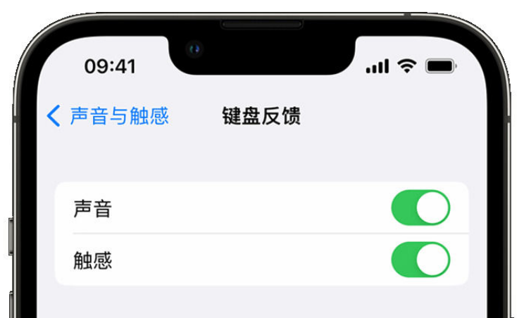 精河苹果手机维修分享iPhone 14触感键盘使用方法 