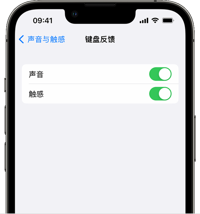 精河苹果14维修店分享如何在 iPhone 14 机型中使用触感键盘 