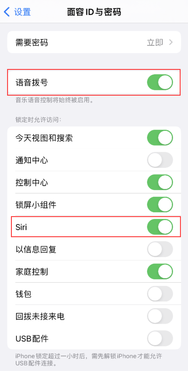 精河苹果维修网点分享不解锁 iPhone 的情况下通过 Siri 拨打电话的方法 