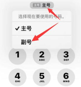 精河苹果14维修店分享iPhone 14 Pro Max使用副卡打电话的方法 