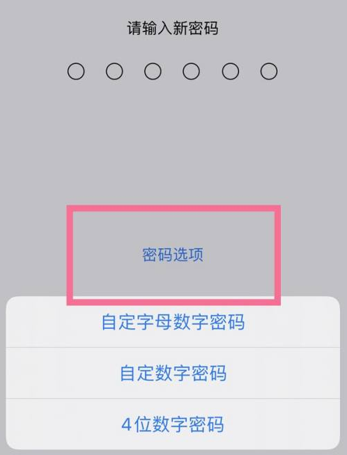 精河苹果14维修分享iPhone 14plus设置密码的方法 