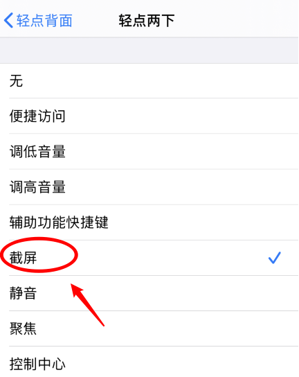 精河苹果手机维修分享iPhone12如何启用双击截屏 